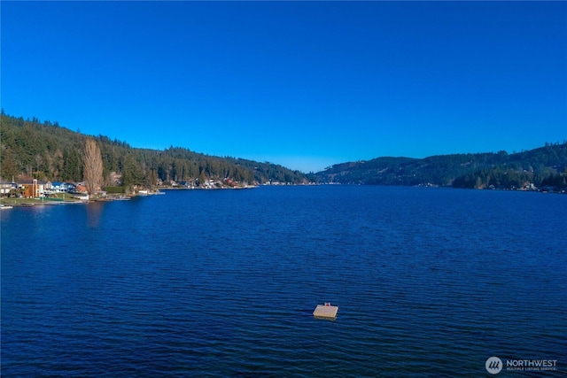 2515 Summit Lake Shore Rd NW, Olympia, WA 98502 - water view featuring a mountain backdrop and a forest