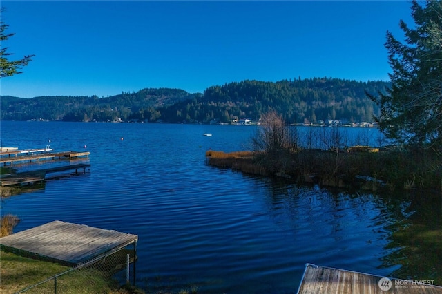 2515 Summit Lake Shore Rd NW, Olympia, WA 98502 - water view with a mountain backdrop and a boat dock