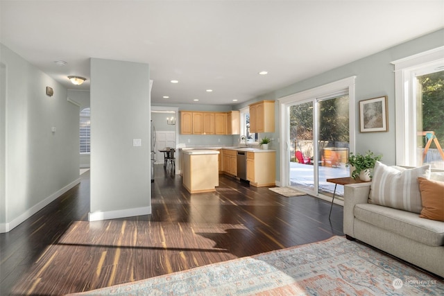 kitchen featuring stainless steel appliances, sink, dark wood-type flooring, and light brown cabinets