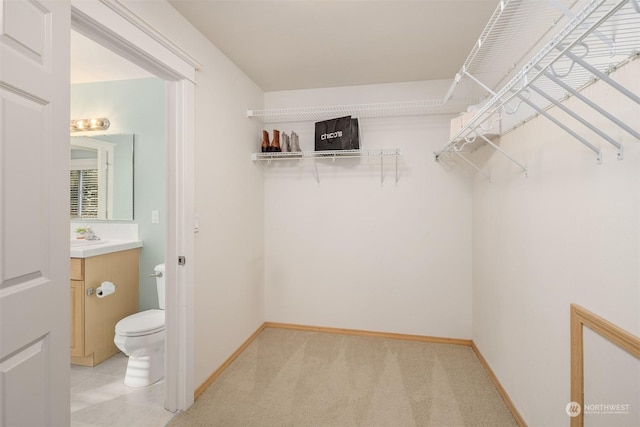 spacious closet featuring sink and light carpet