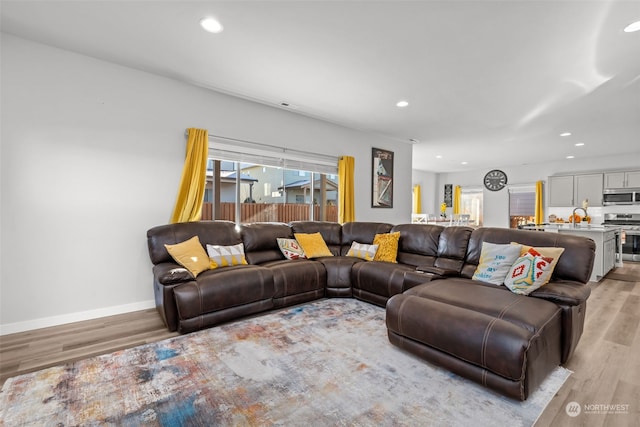 living room with light wood-type flooring