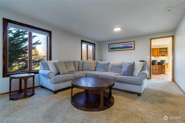 carpeted living room featuring a textured ceiling