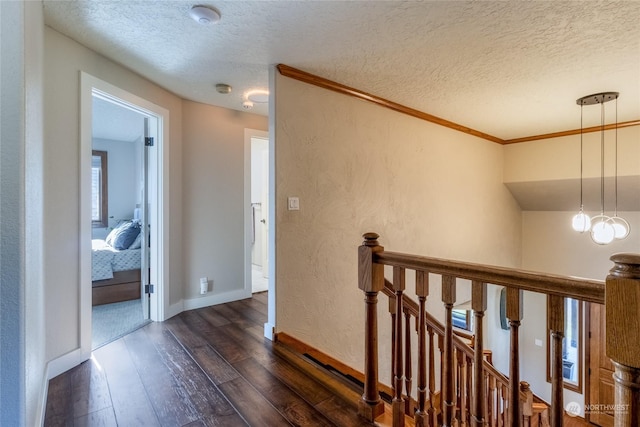 hallway featuring ornamental molding, dark wood-type flooring, and a textured ceiling