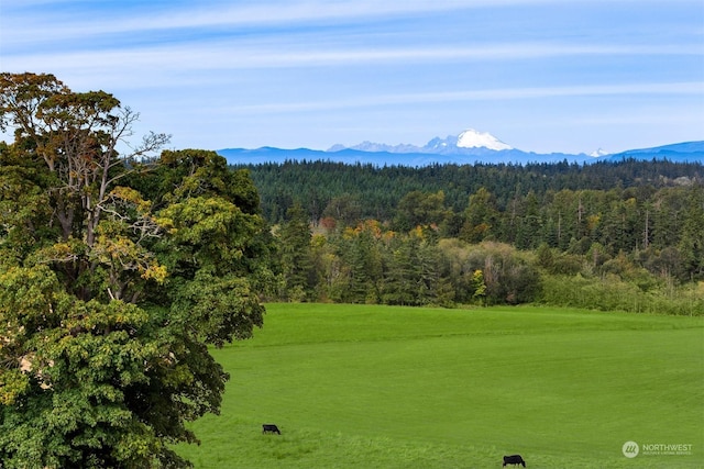 view of community featuring a mountain view and a lawn