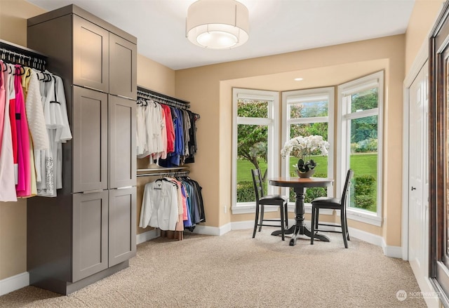 spacious closet with light carpet