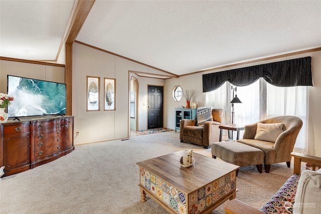 carpeted living room featuring lofted ceiling, crown molding, and a textured ceiling