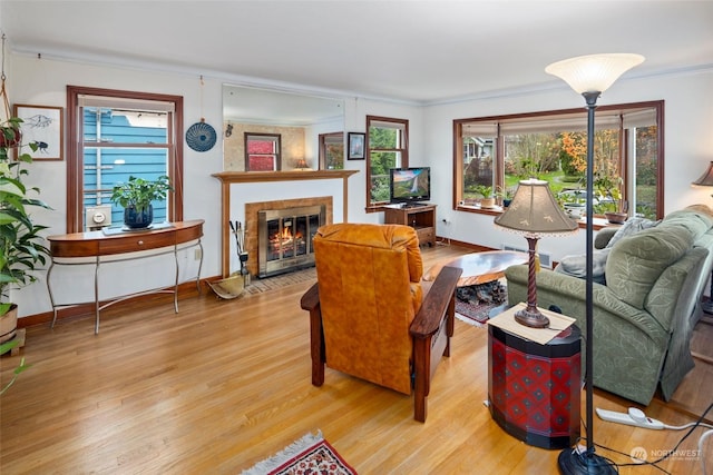 living room featuring crown molding and light hardwood / wood-style floors