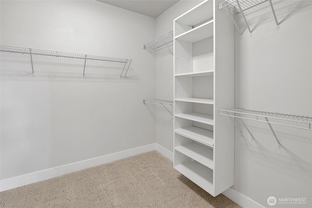 21402 E 39th Dr SE Unit A, Bothell, WA 98021 - spacious closet with carpet flooring