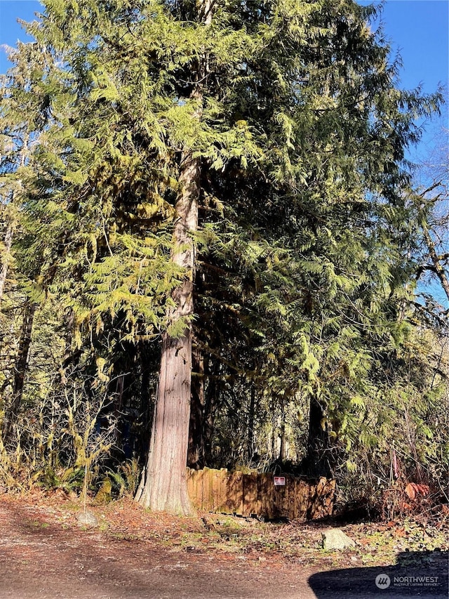 0 Diablo Pl, Marblemount, WA 98267 - photo 13