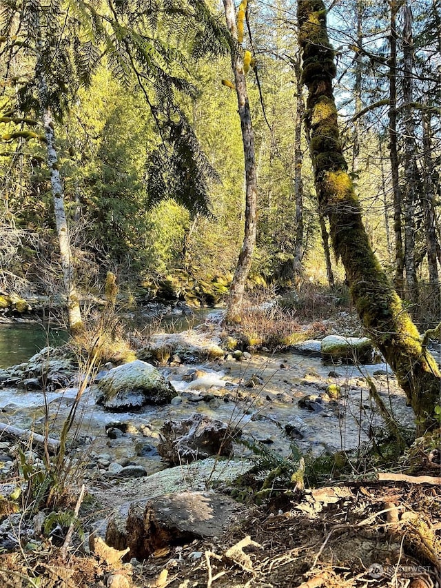 0 Diablo Pl, Marblemount, WA 98267 - photo 18