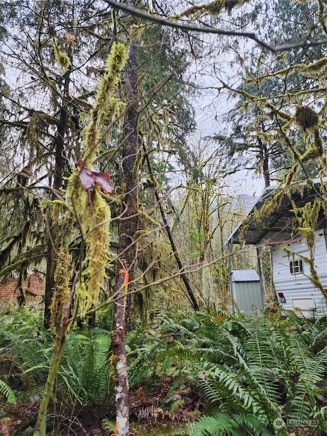 0 Diablo Pl, Marblemount, WA 98267 - photo 21