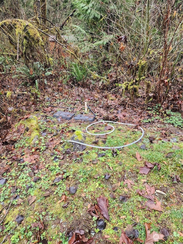 0 Diablo Pl, Marblemount, WA 98267 - photo 23
