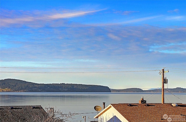 water view featuring a mountain view