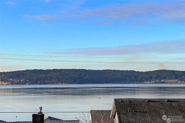 water view featuring a wooded view