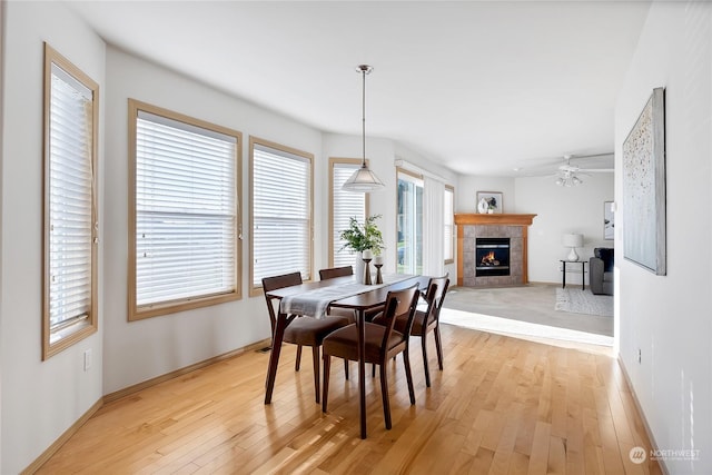 dining room with light wood-style flooring, a fireplace, baseboards, and a ceiling fan