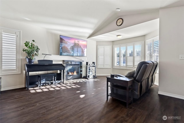 living room featuring lofted ceiling and dark wood-type flooring