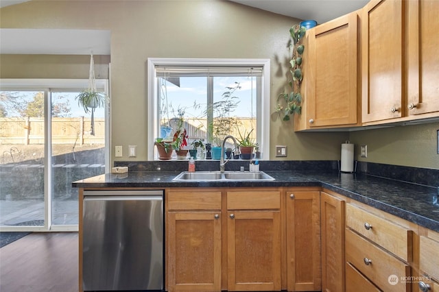 kitchen with sink, stainless steel dishwasher, and dark hardwood / wood-style floors