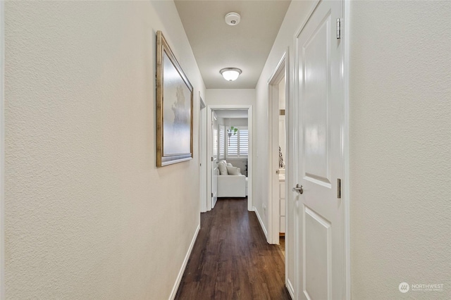 corridor featuring dark hardwood / wood-style flooring