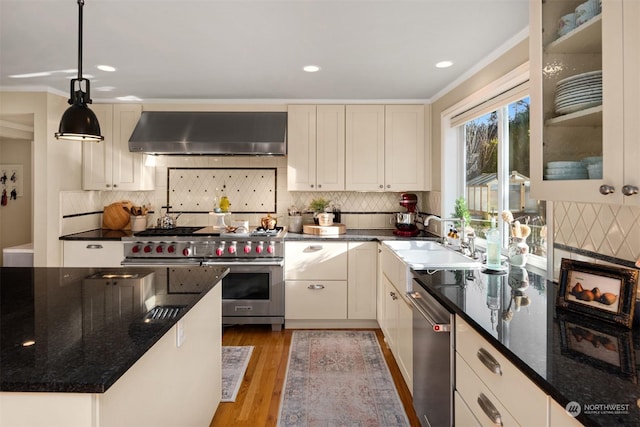 kitchen with sink, crown molding, appliances with stainless steel finishes, hanging light fixtures, and ventilation hood