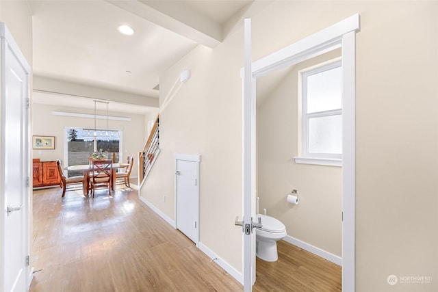 hallway featuring hardwood / wood-style flooring and beamed ceiling