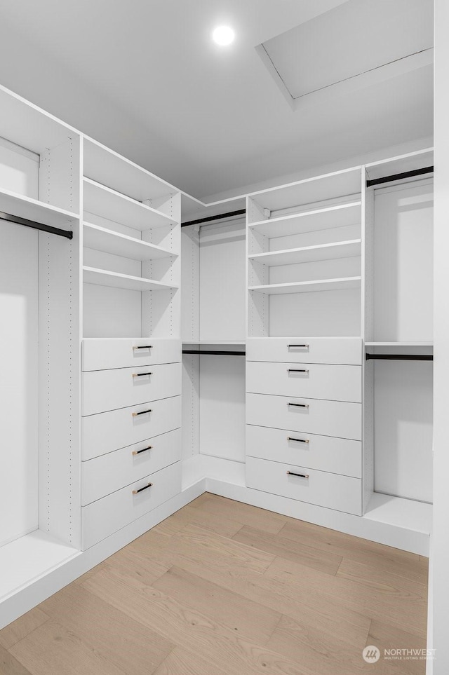 spacious closet with light wood-type flooring