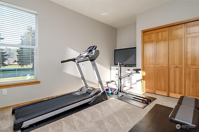 workout room featuring light carpet