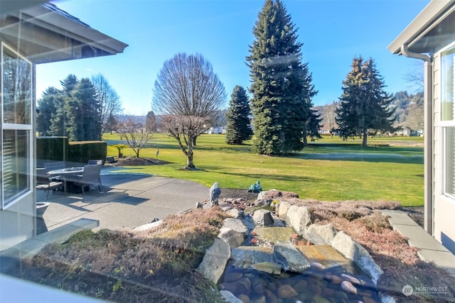 view of yard featuring a patio area