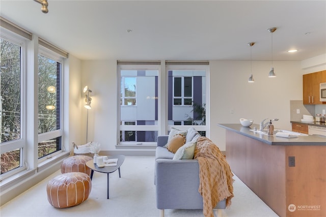 living room featuring sink and light colored carpet