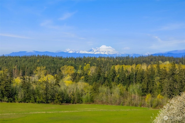 property view of mountains