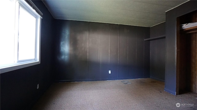 carpeted empty room featuring plenty of natural light and wood walls