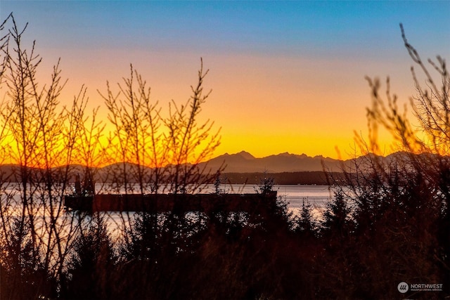 property view of water with a mountain view