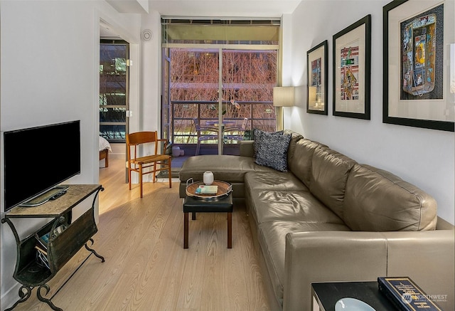 living room featuring light wood-type flooring