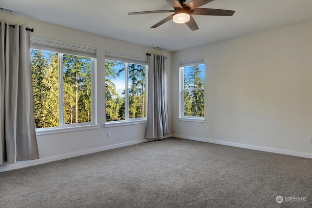 carpeted spare room with ceiling fan and a wealth of natural light