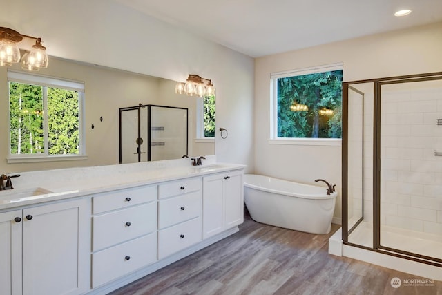 bathroom with plus walk in shower, wood-type flooring, and a wealth of natural light