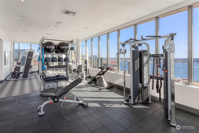 workout area featuring a wealth of natural light and a water view