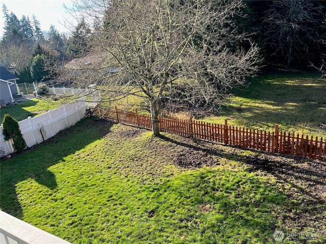 view of yard with a fenced backyard