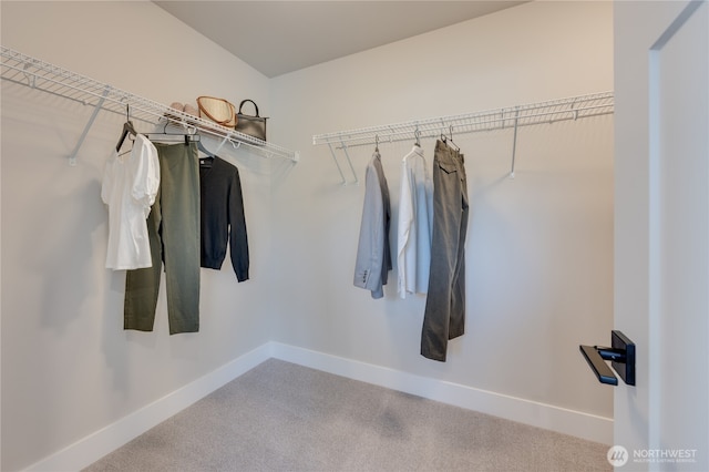 walk in closet with carpet