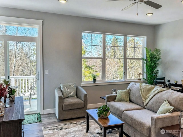 living room with ceiling fan and light wood-type flooring