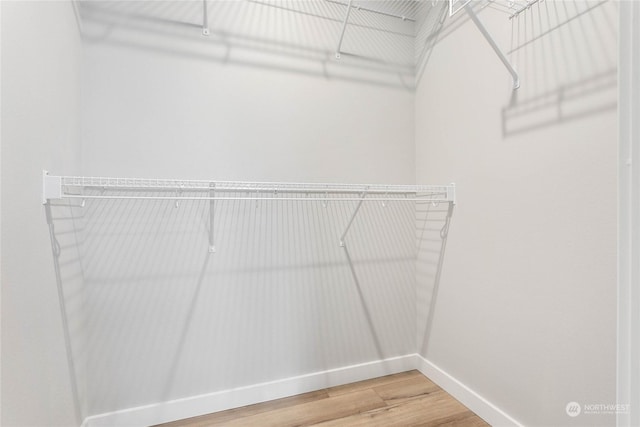 walk in closet featuring hardwood / wood-style floors