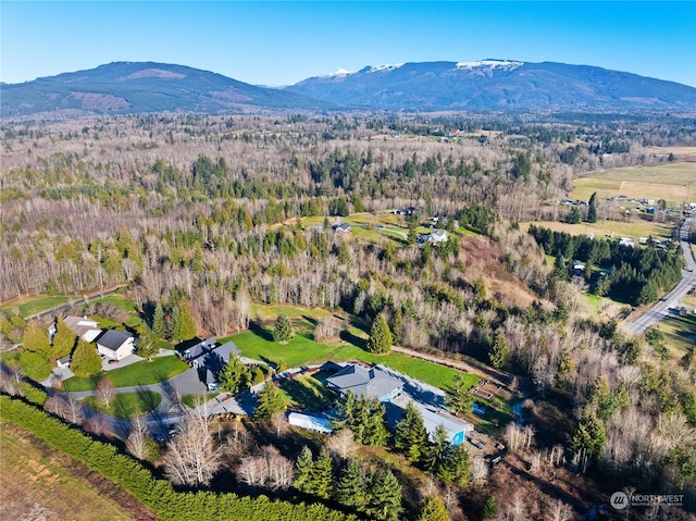 birds eye view of property featuring a mountain view