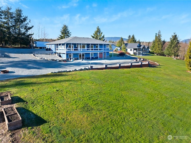 rear view of property with a yard