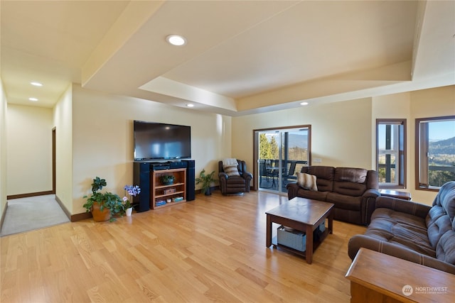 living room with a raised ceiling and hardwood / wood-style floors