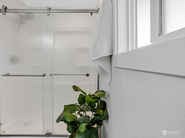 bathroom featuring a shower with shower door