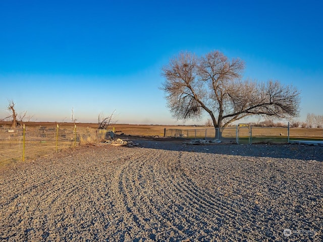 view of yard with a rural view