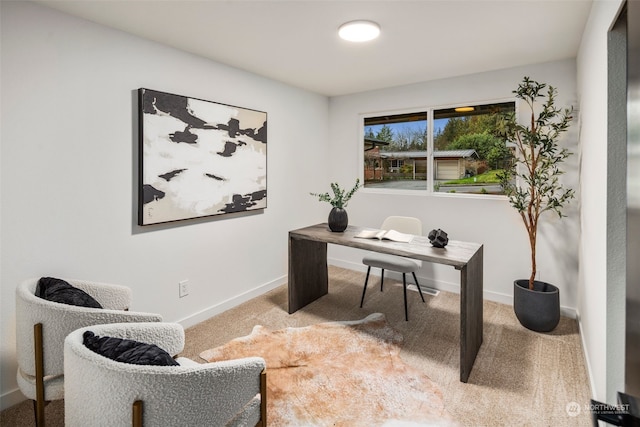 home office featuring carpet flooring