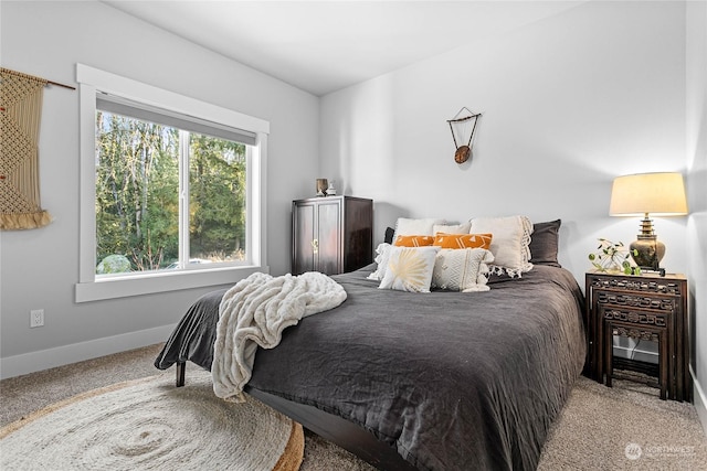 bedroom with carpet floors