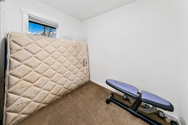 workout area with carpet floors