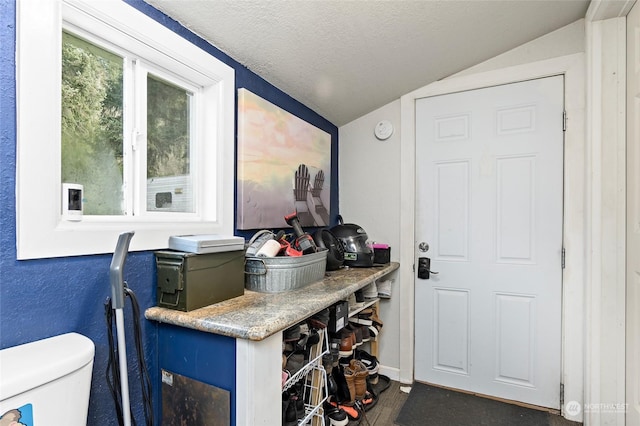 interior space featuring lofted ceiling, a textured wall, dark wood-type flooring, a textured ceiling, and baseboards