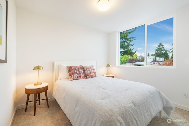 bedroom featuring carpet