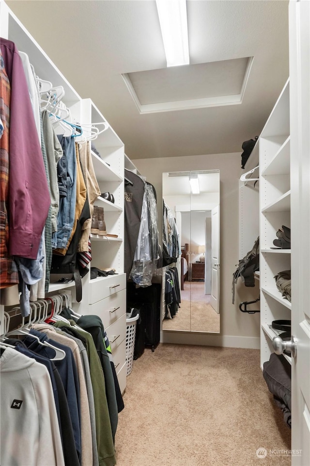 walk in closet with light carpet